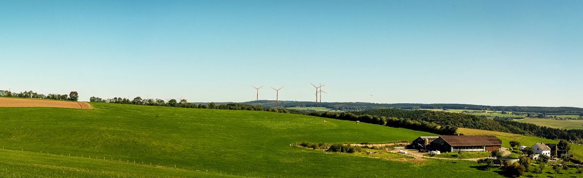 Windräder in einer grünen Landschaft