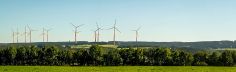 Windräder in einer grünen Landschaft