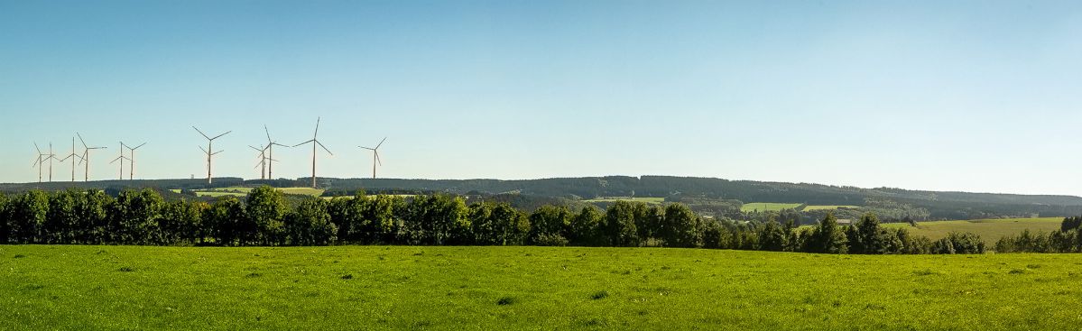 Windräder in einer grünen Landschaft