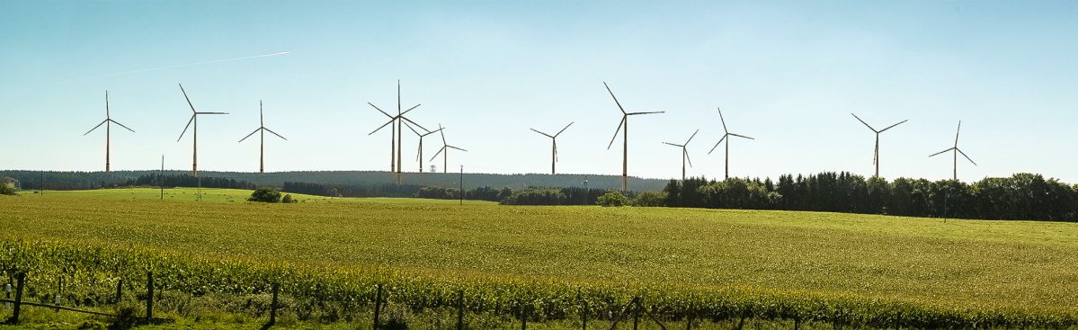 Windräder in einer grünen Landschaft