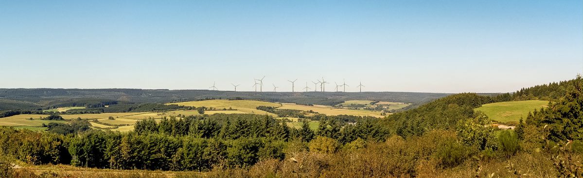 Windräder in einer grünen Landschaft